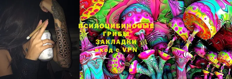 Псилоцибиновые грибы Cubensis  что такое наркотик  Баксан 